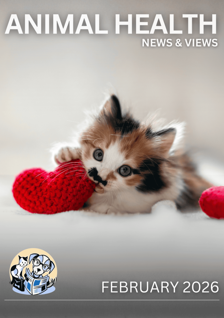 AHNAV February 2026 Cover