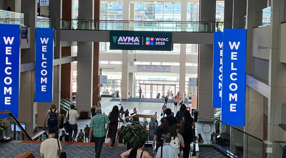 2025 AVMA Convention