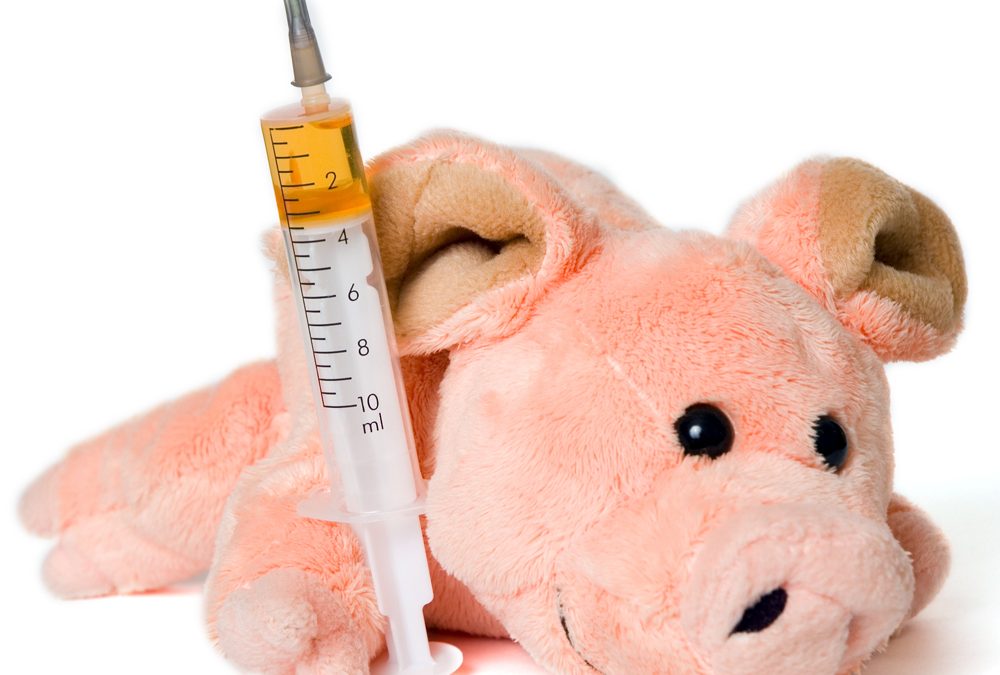 Animal Health Research News