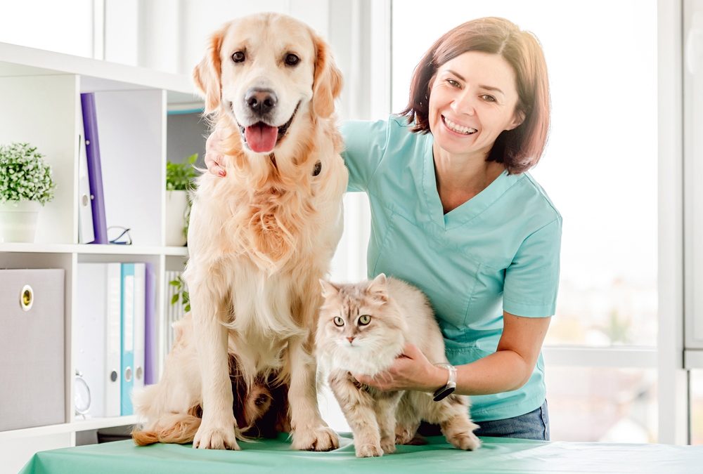 Smiling,Woman,Veterinarian,With,Golden,Retriever,Dog,And,Fluffy,Cat