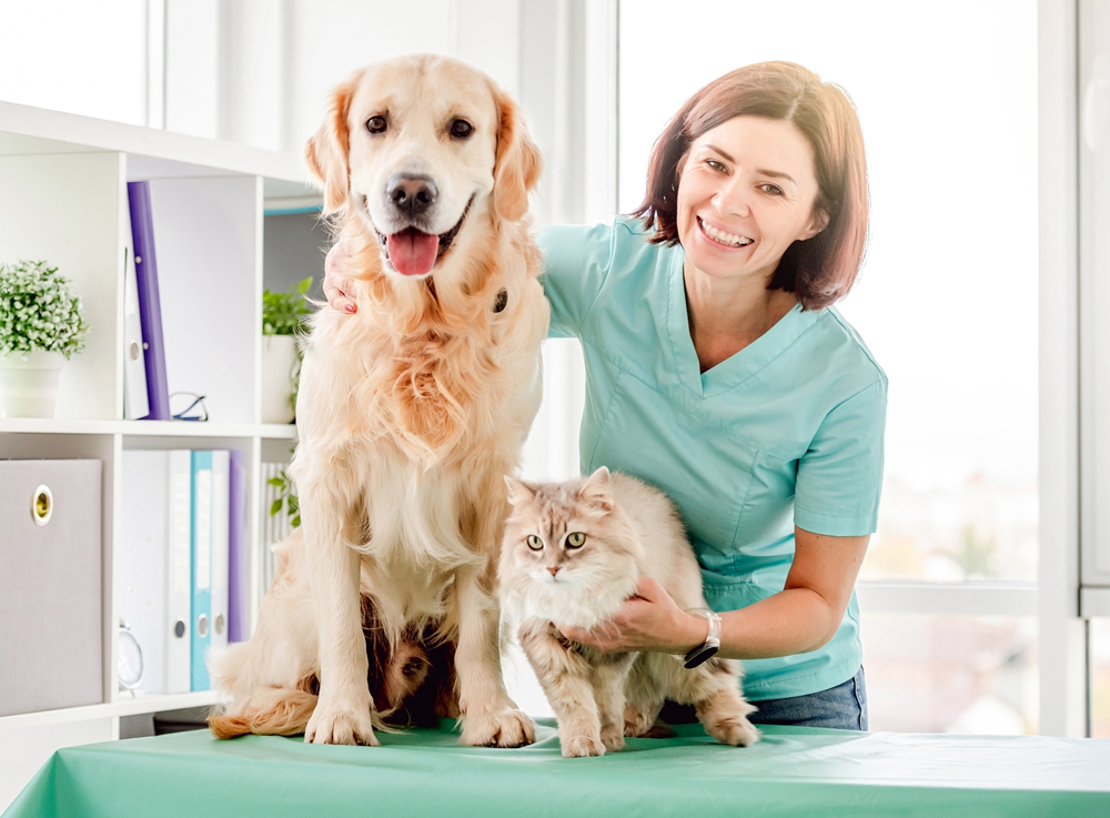 Companion Animal Healthcare Market Growth, Size, Share, Price, Report