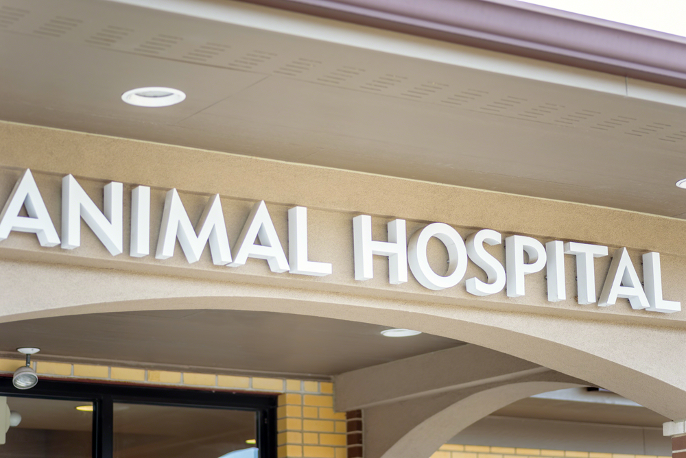 Exterior,Closeup,Of,Animal,Hospital,Lettering,Sign