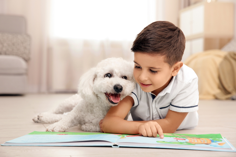 Little,Boy,And,Bichon,Frise,Dog,Reading,Book,At,Home