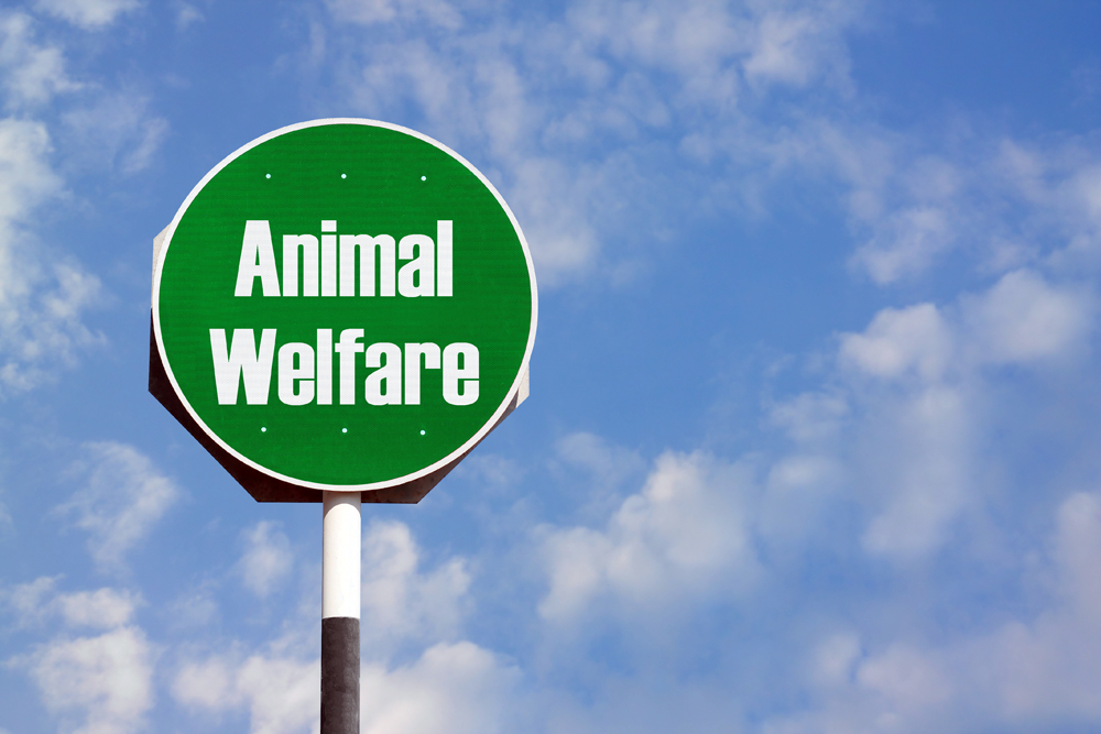 Animal Welfare Legislation News