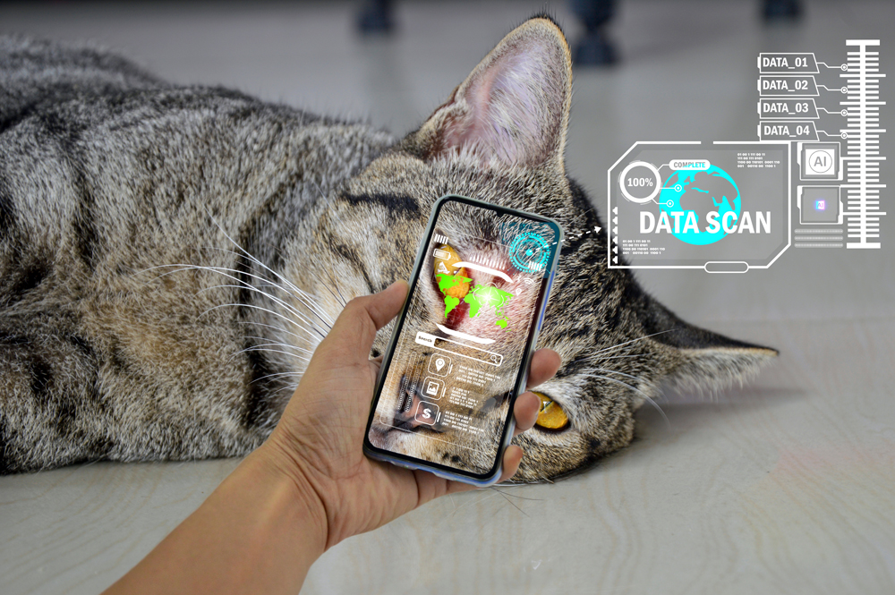 AI Exec Deploys App to Help Treat, Diagnose Pets