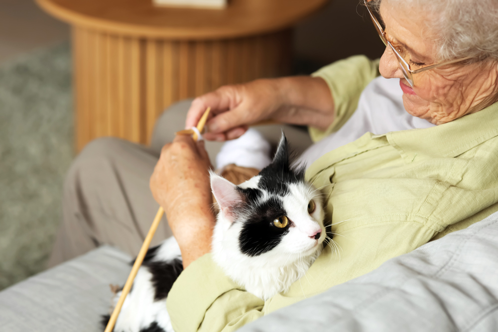 New Study Finds Reduced Loneliness in Older Adults Living with Fostered Cats