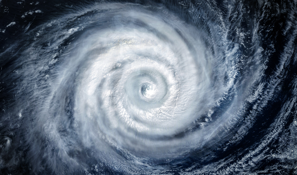 Climate Change Animal Health News: Animal Health News and Views