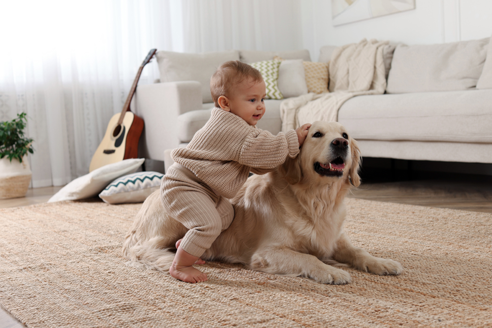 Should You Use a Baby Voice With Dogs? This Is What Veterinarians Want You To Know