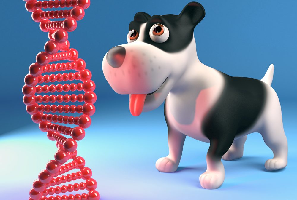 Intrigued,Puppy,Dog,Stares,At,Genetic,Dna,Strand,,3d,Illustration