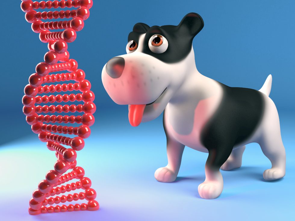 Ancestry Unveils Know Your Pet DNA Animal Health News and Views