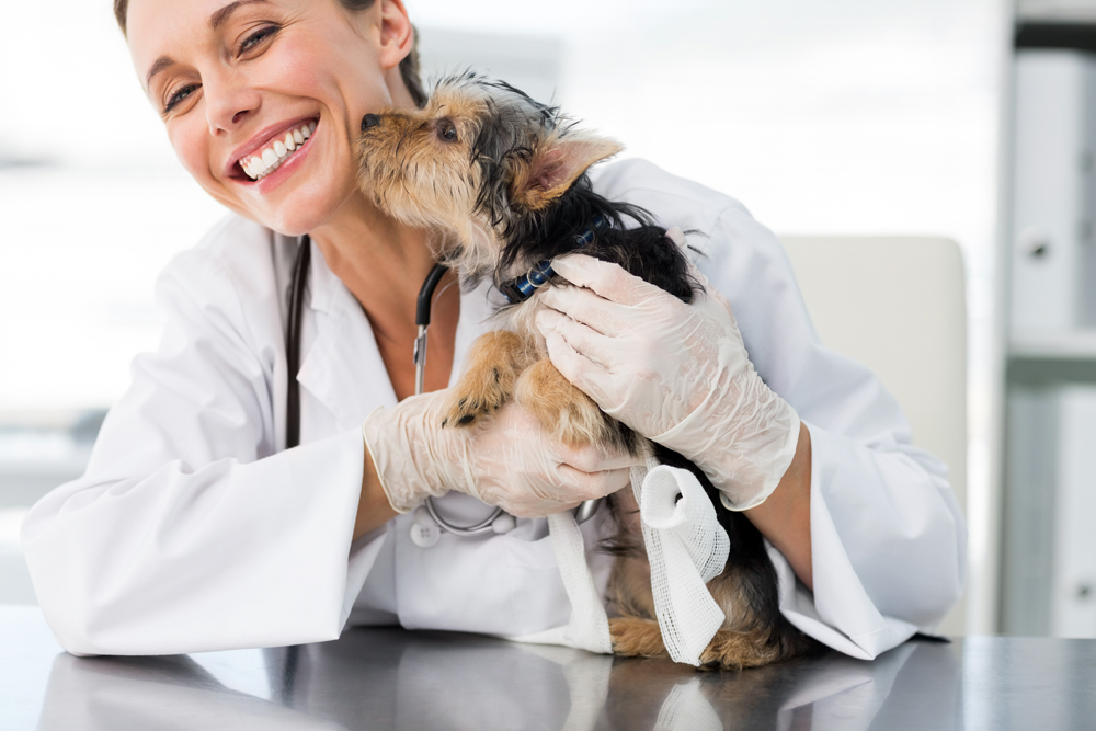 The Untapped ETA Opportunity in Veterinary Medicine: A Generational Shift in Ownership