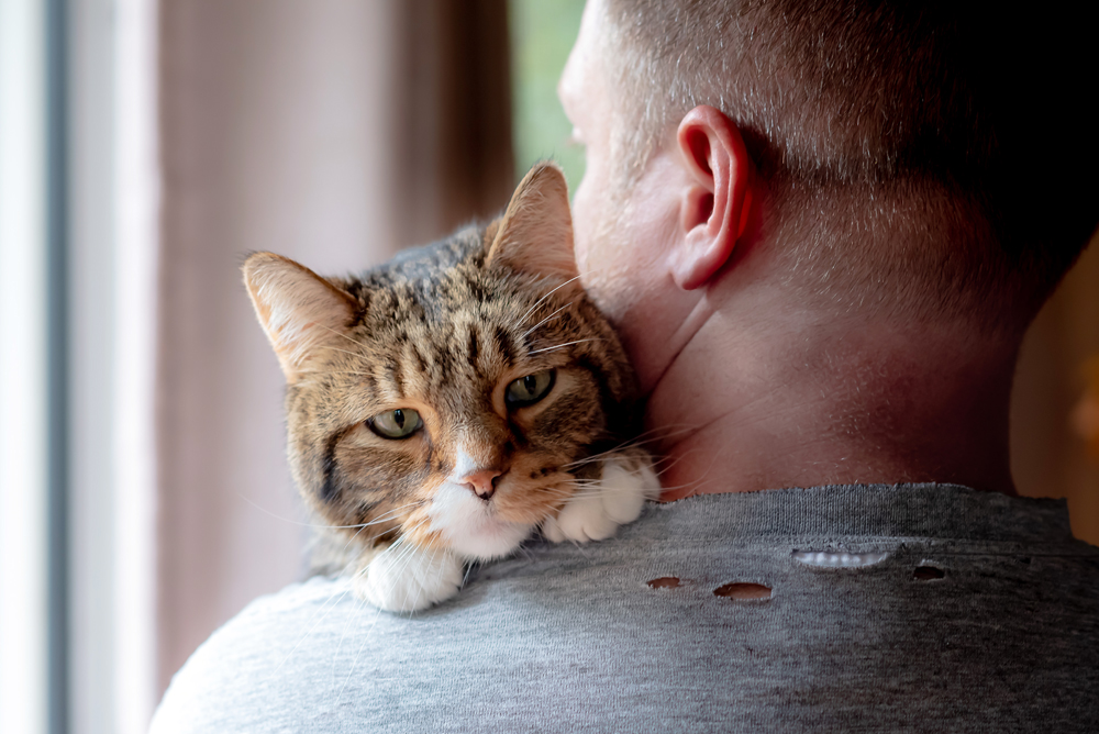 End-of-Life Pet News: Animal Health News and Views