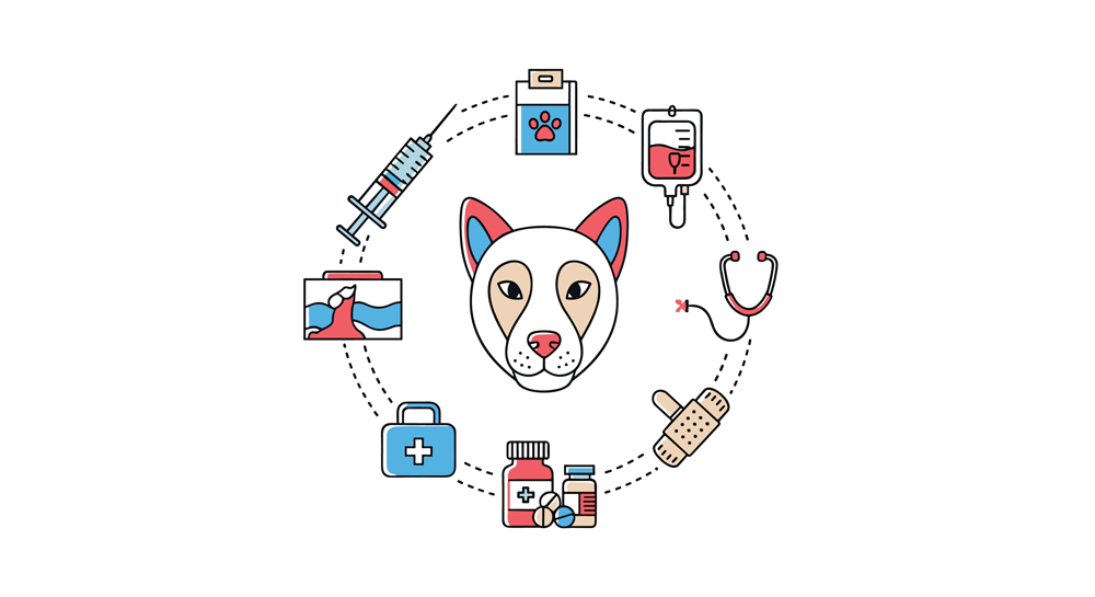Animal Health News: End-of-Life Veterinary Care News