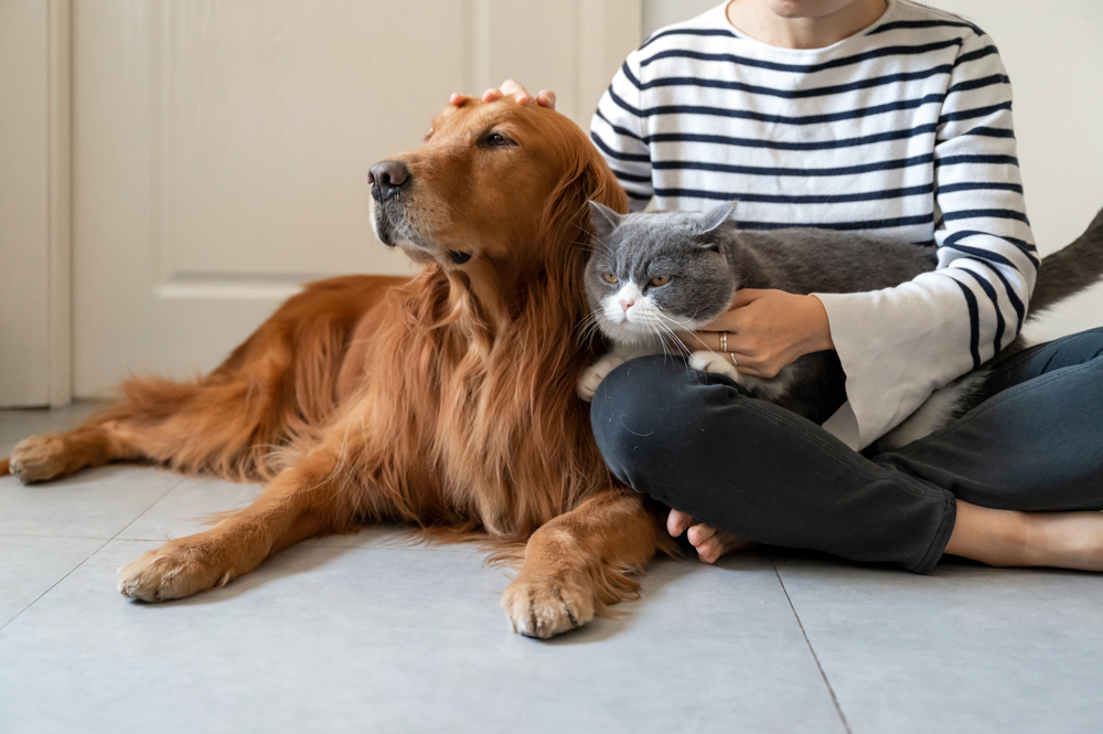 The Other Side of the Exam Room: What Caring for Our Own Pets Can Teach Us About Client Perspective