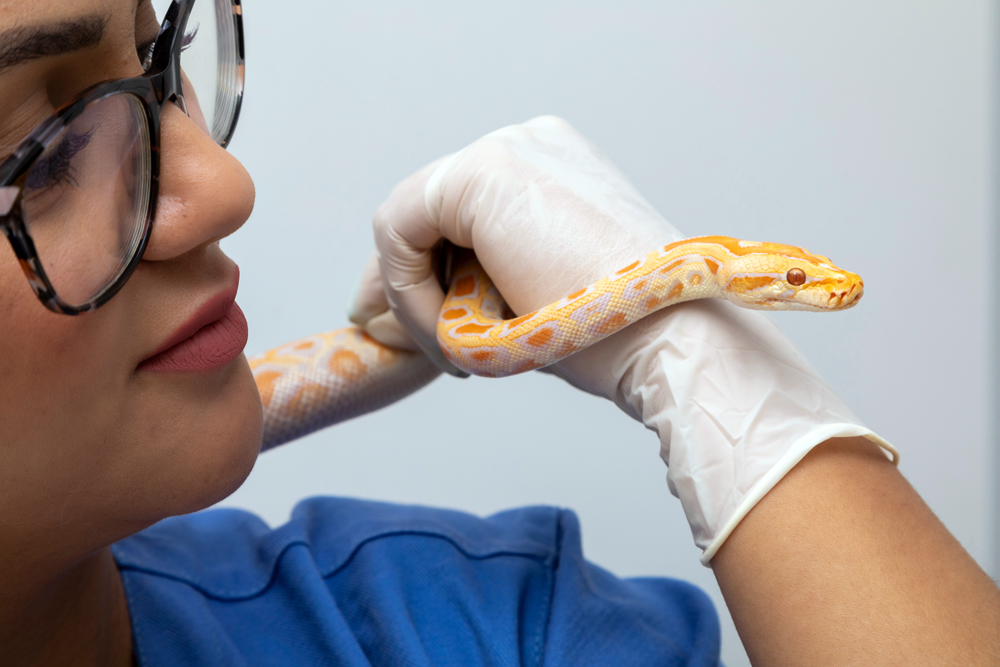 Animal Health News: Exotic Animal Veterinary News