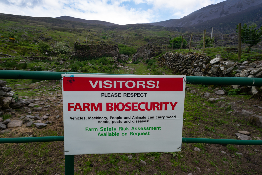 New Biosecurity Information Available for Poultry Producers