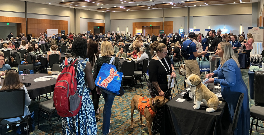 Community, Collaboration, and Connections: Highlights from Fetch Nashville 2025