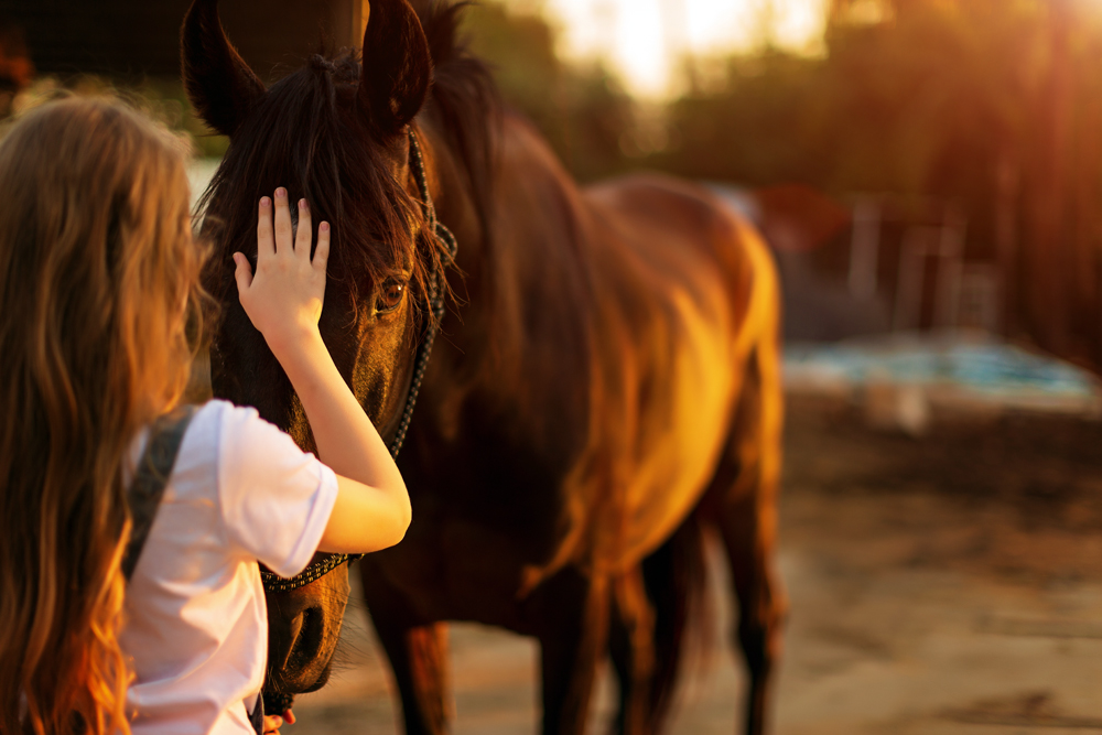 Binghamton University Speech and Language Therapists Use Horses to Help Kids Communicate