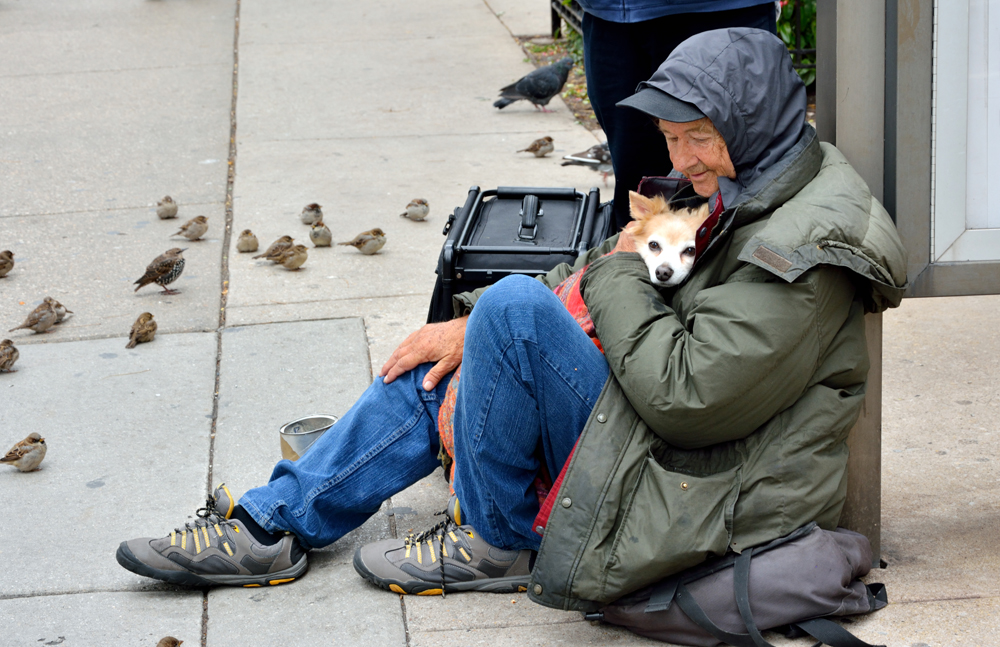 What Helps the Homeless Who Have Pets? Study Has Answers