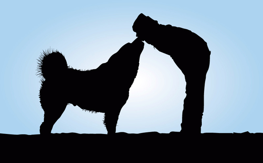 The Deep Meaning of the Human–Animal Bond for Our Profession