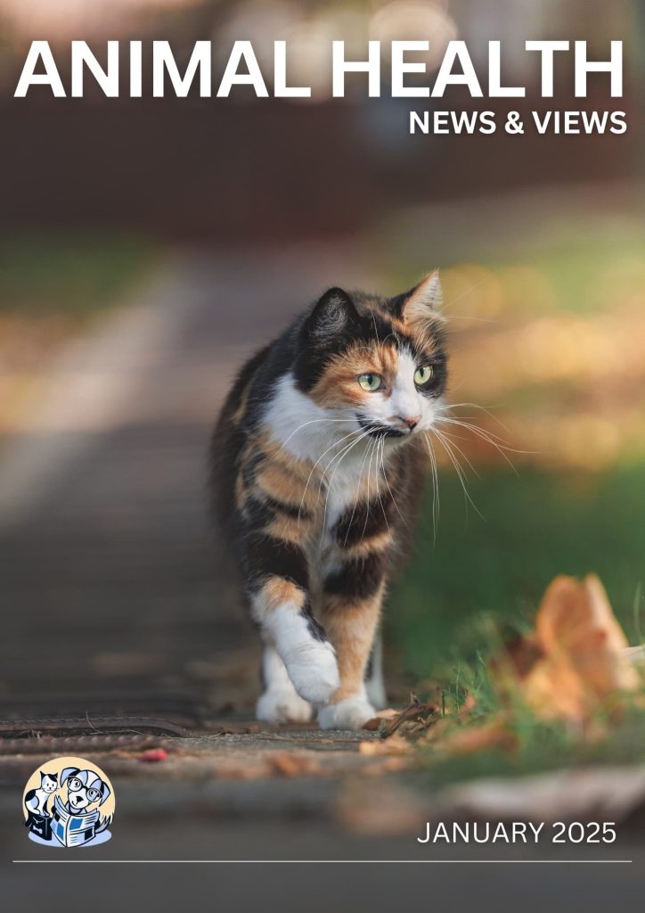 January 2025 Cover
