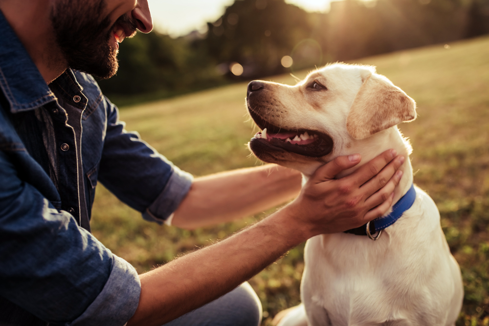 10 Sweet Signs Your Dog Feels Safe With You, According to a Veterinarian