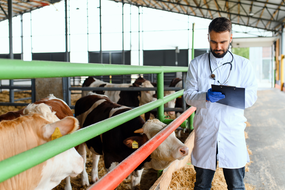 Livestock Veterinary Innovation News: Animal Health News and Views
