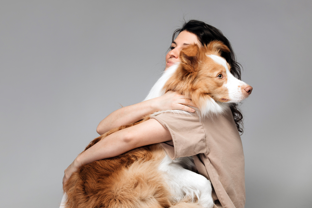 Veterinary Medicine and the ‘Lost Pet Owners’