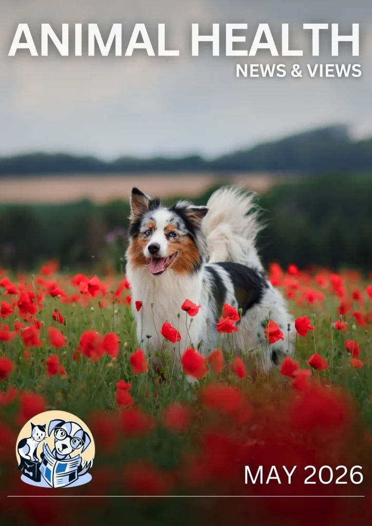 May 2026 Cover