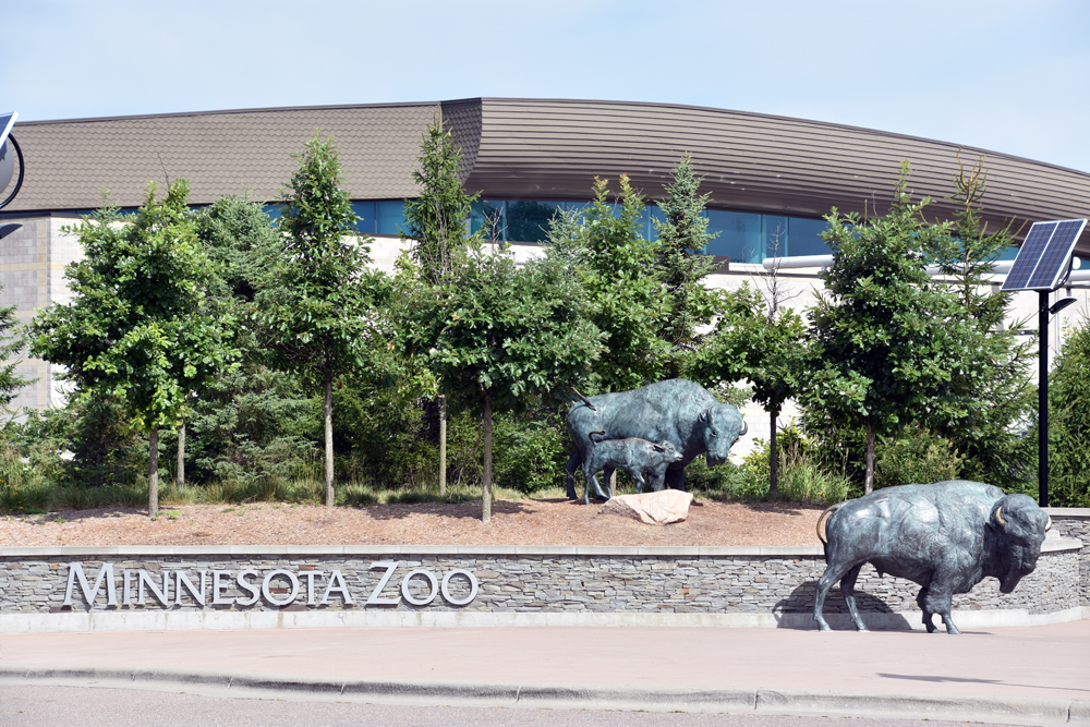 Minnesota Zoo Gains Accreditation for Providing Excellent Animal Care