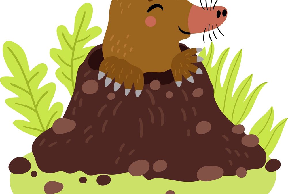 The,Mole,Looks,Out,Of,The,Hole.,Vector,Character