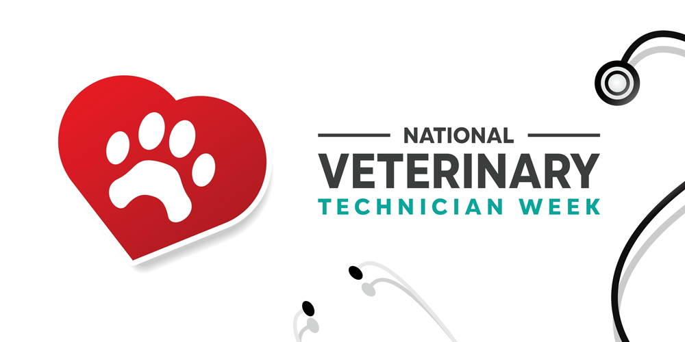 Preserving Purpose: The Importance of Focusing National Veterinary Technician Week on Credentialed Veterinary Technicians