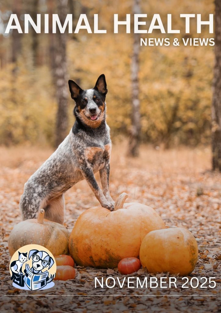 November AHNAV Cover