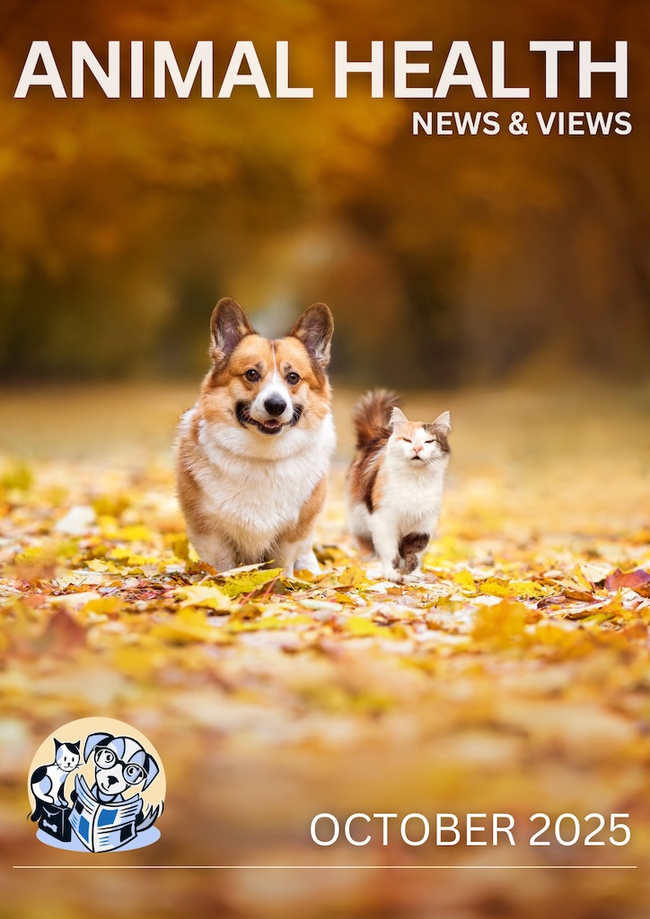 October 2025 Cover