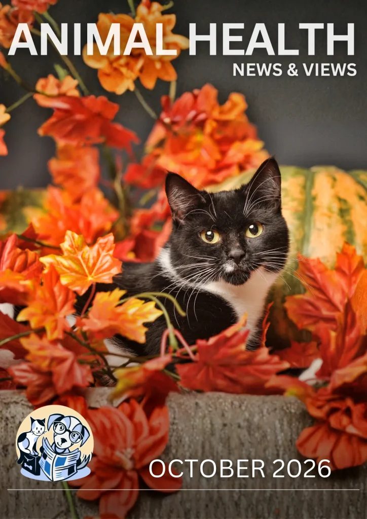October Publication Cover
