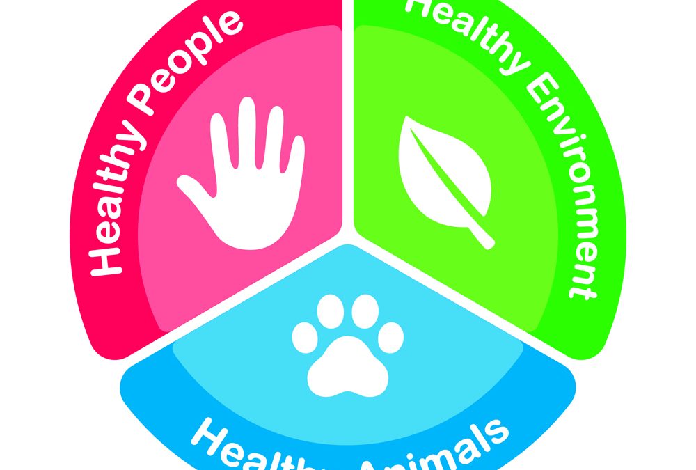 Could ‘One Health’ be the Optimal Approach for Human, Animal and Environmental Health?