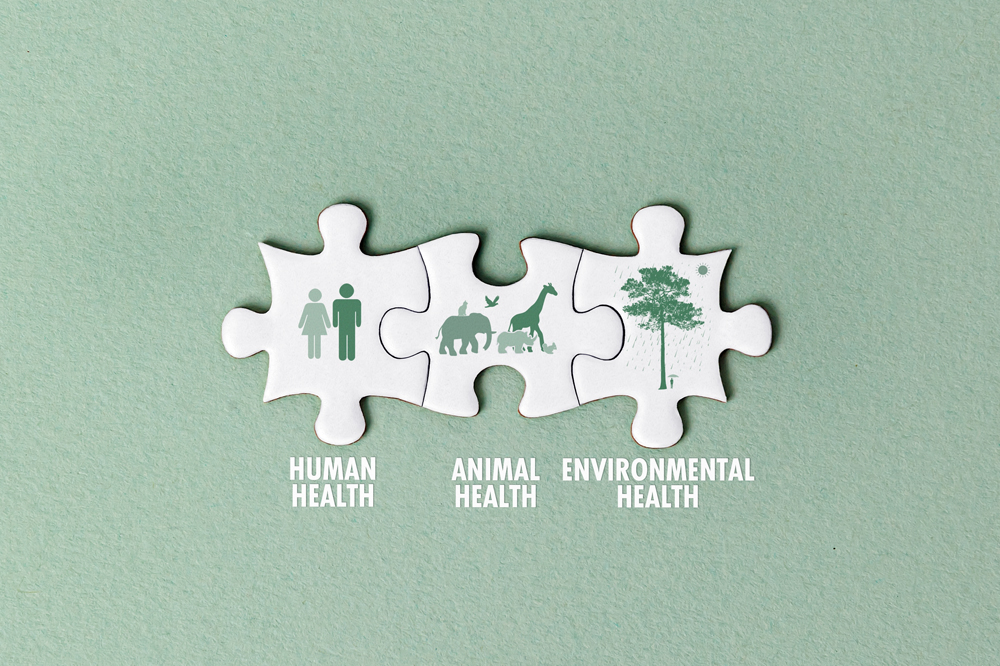 One Health Veterinary News: Animal Health News and Views