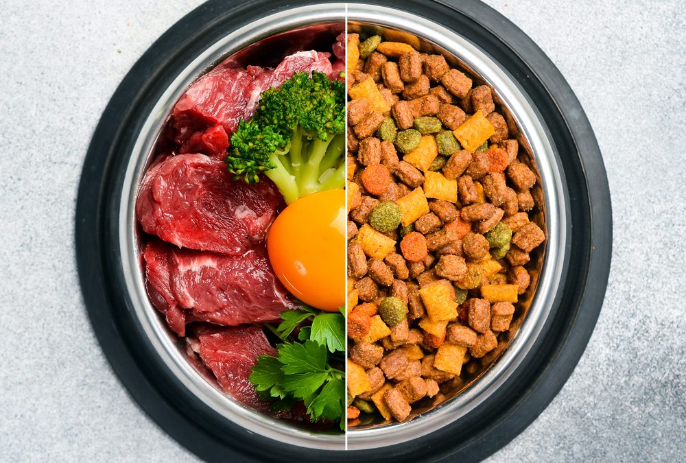 Pet Nutrition News: Animal Health News and Views