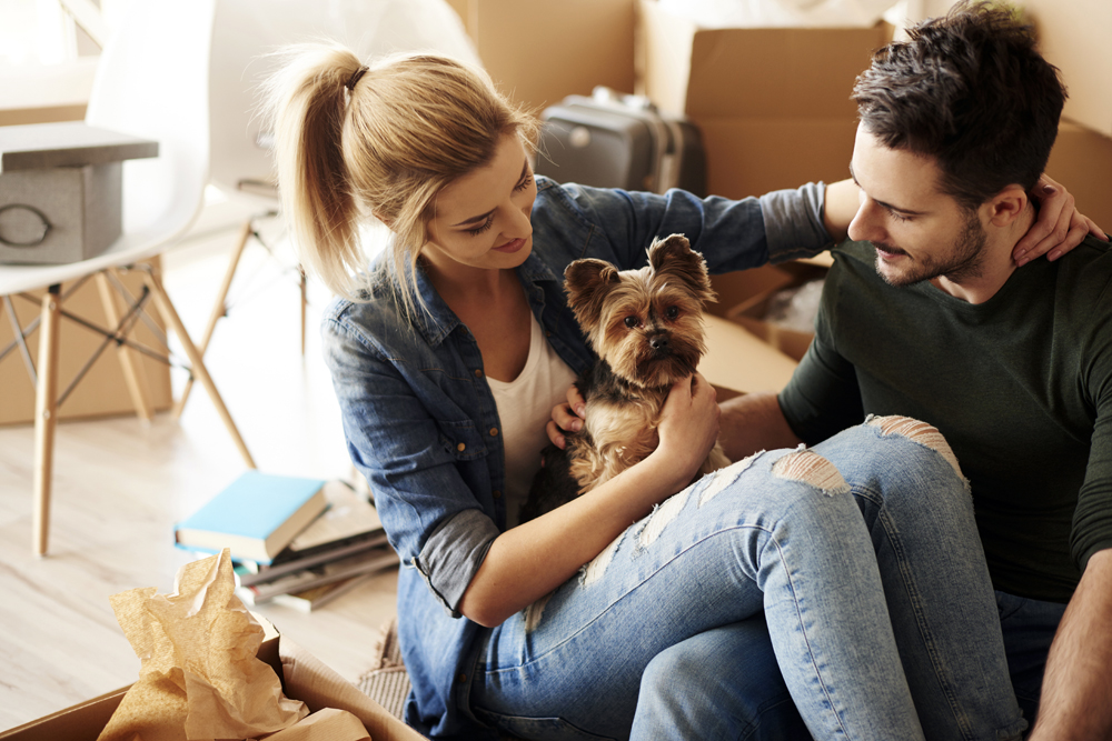 Pet Ownership Declined in U.S. from 70% to 66% in 2022