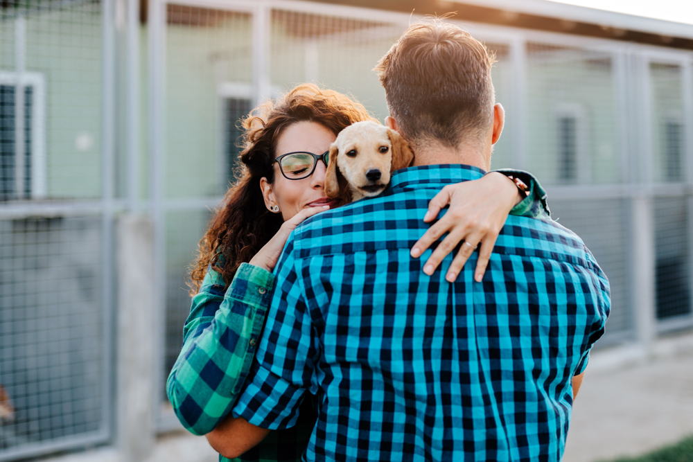 Pet Rescue and Adoption News: Animal Health News and Views