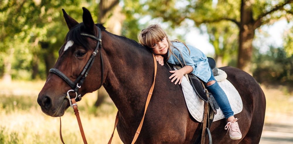 Pet Therapy News