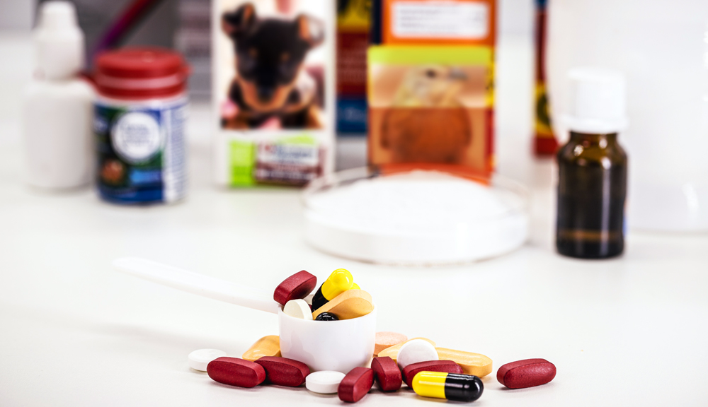 Preventative Animal Health News
