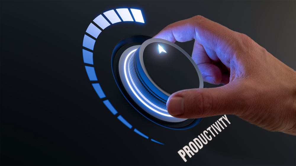 Improving Productivity vs. Expanding the Workforce
