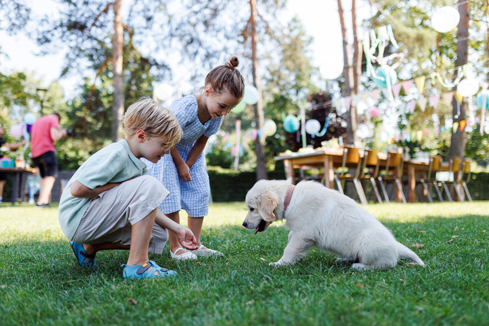 Children,Playing,With,A,Small,Puppy,At,A,Family,Garden