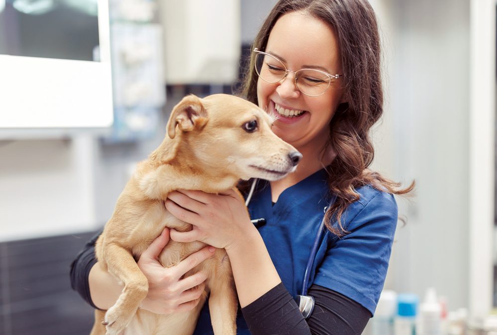 Startup or Buy? One of the Most Consequential Decisions in Veterinary Practice Ownership