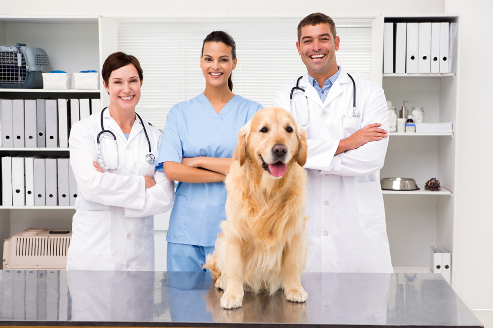 Veterinarian,Coworker,Smiling,At,Camera,With,Dog,In,Medical,Office
