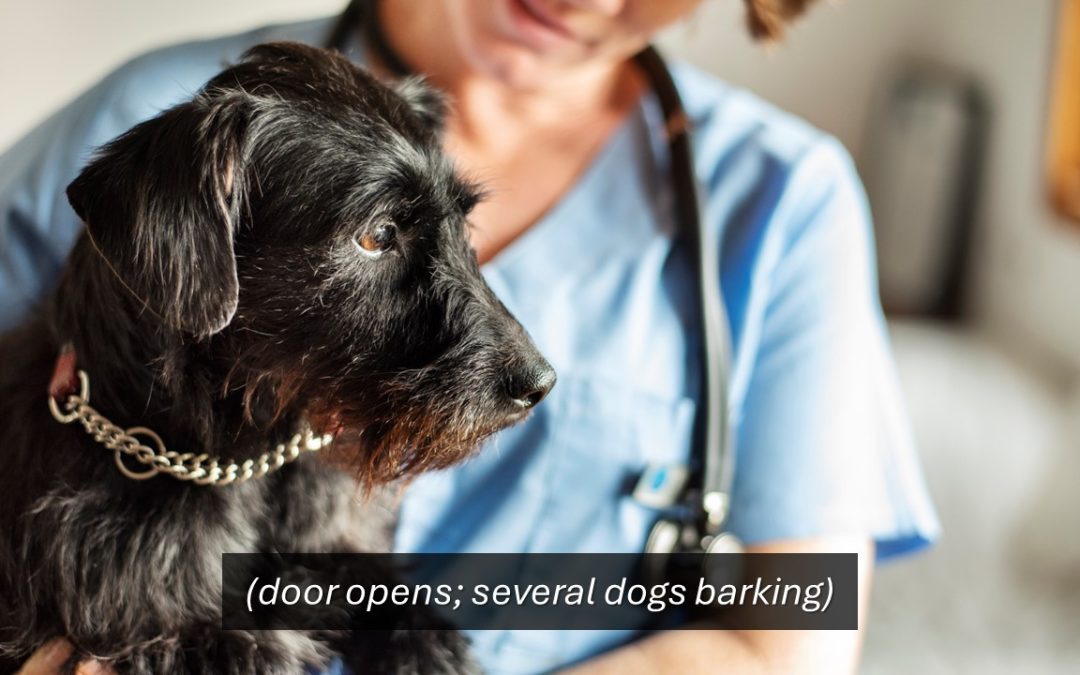 Subtitled Generation