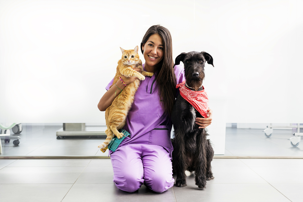 You’re Finally a Credentialed Veterinary Technician . . . Now What?