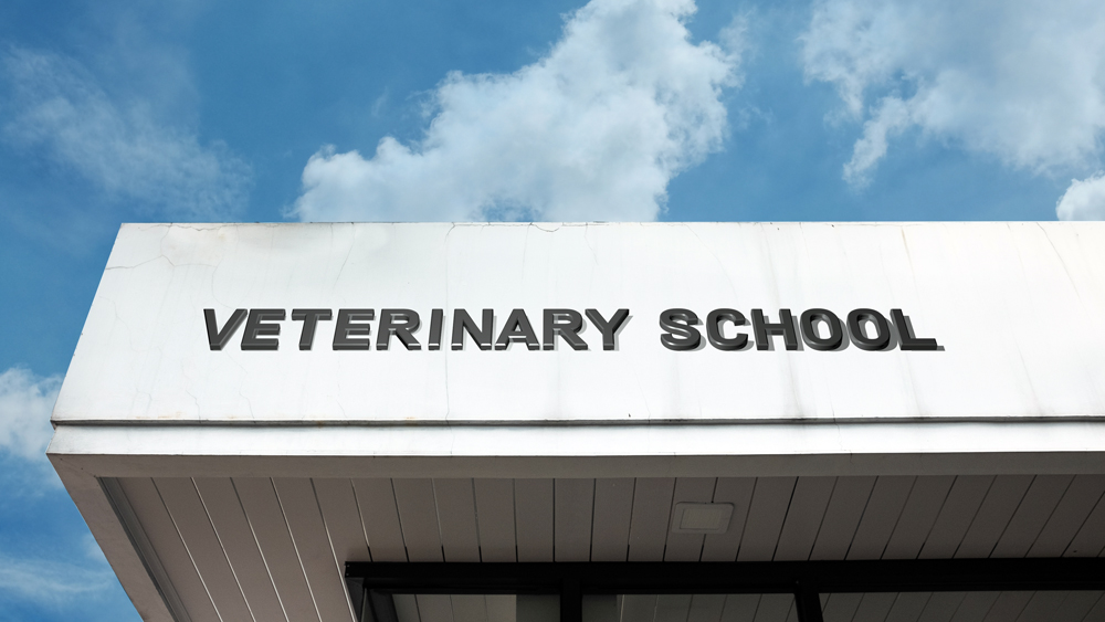 Veterinary Applicant Pool