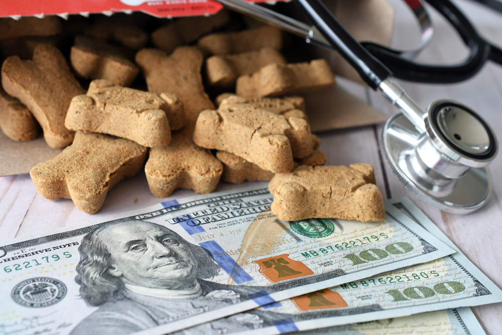 A Commonsense Approach to Setting Veterinary Fees